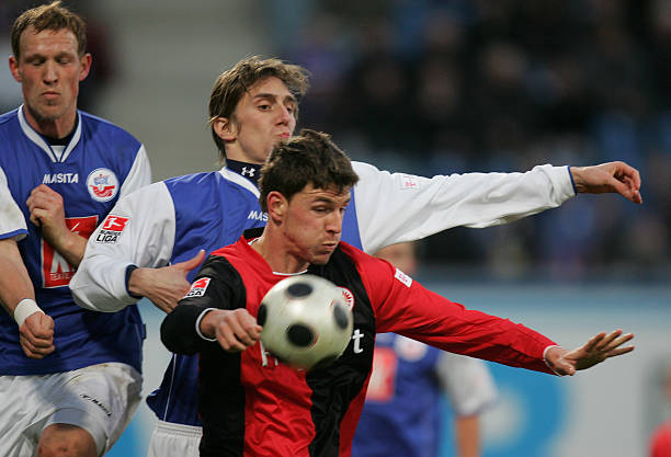 蓬勃发展 蓬勃发展